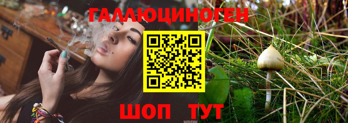 Галлюциногенные грибы Cubensis  Вход с VPN  Лангепас 